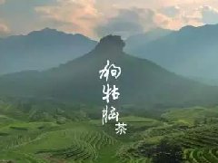 央视一套大力宣传《江西茶 香天下》，敬请关注！